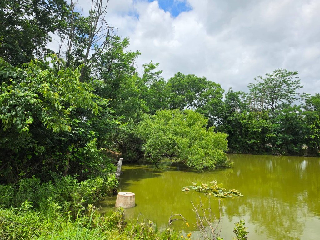 Picture 19