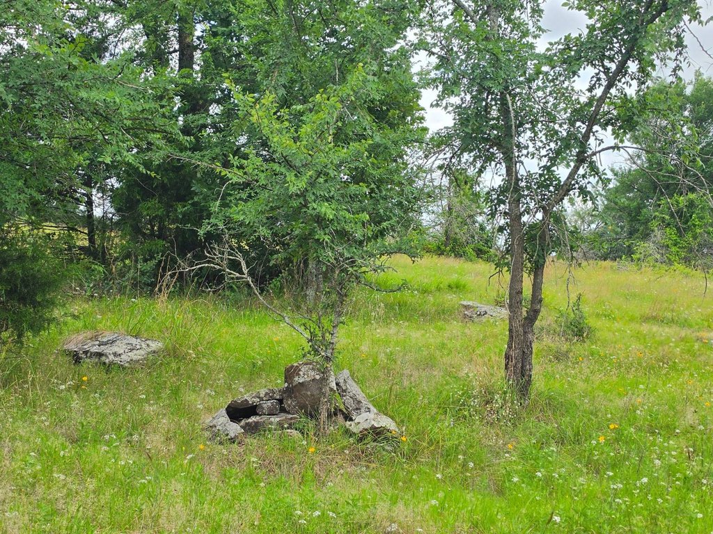 Picture 39