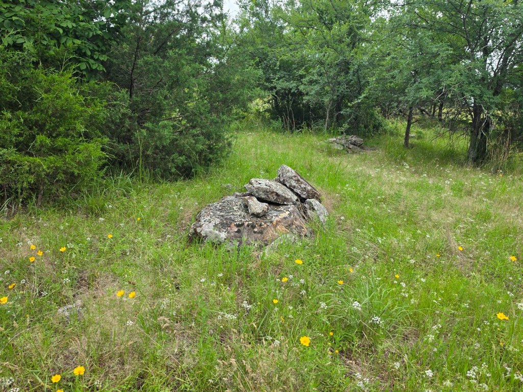 Picture 38