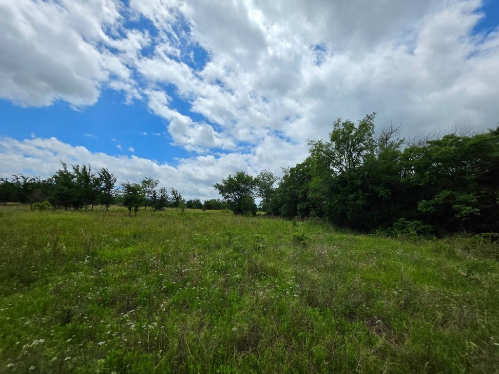 Picture 33