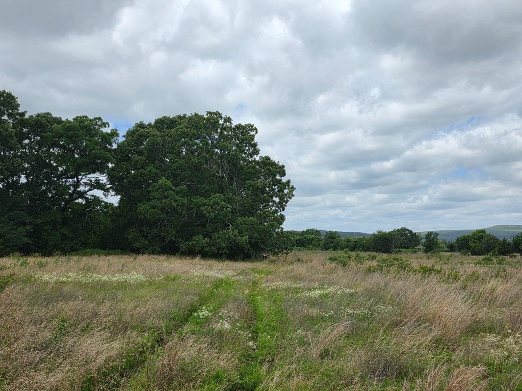 Picture 27