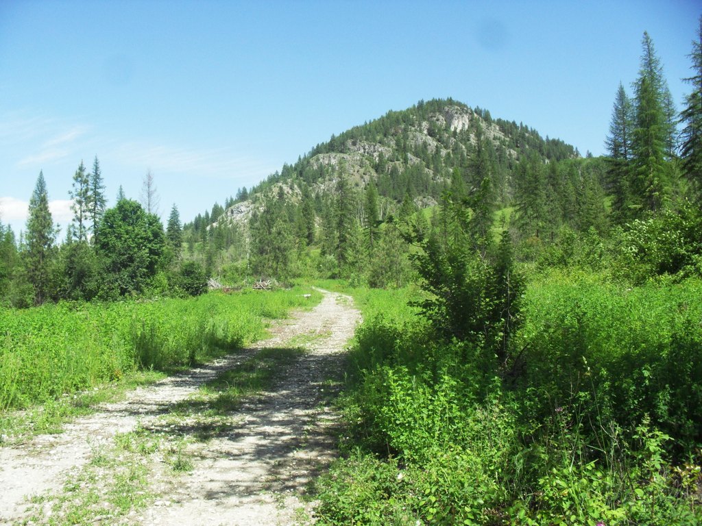 Picture 10