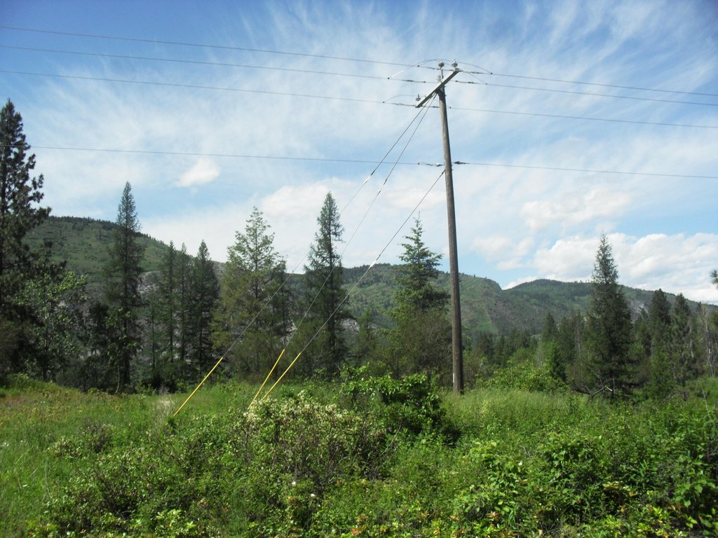 Picture 12