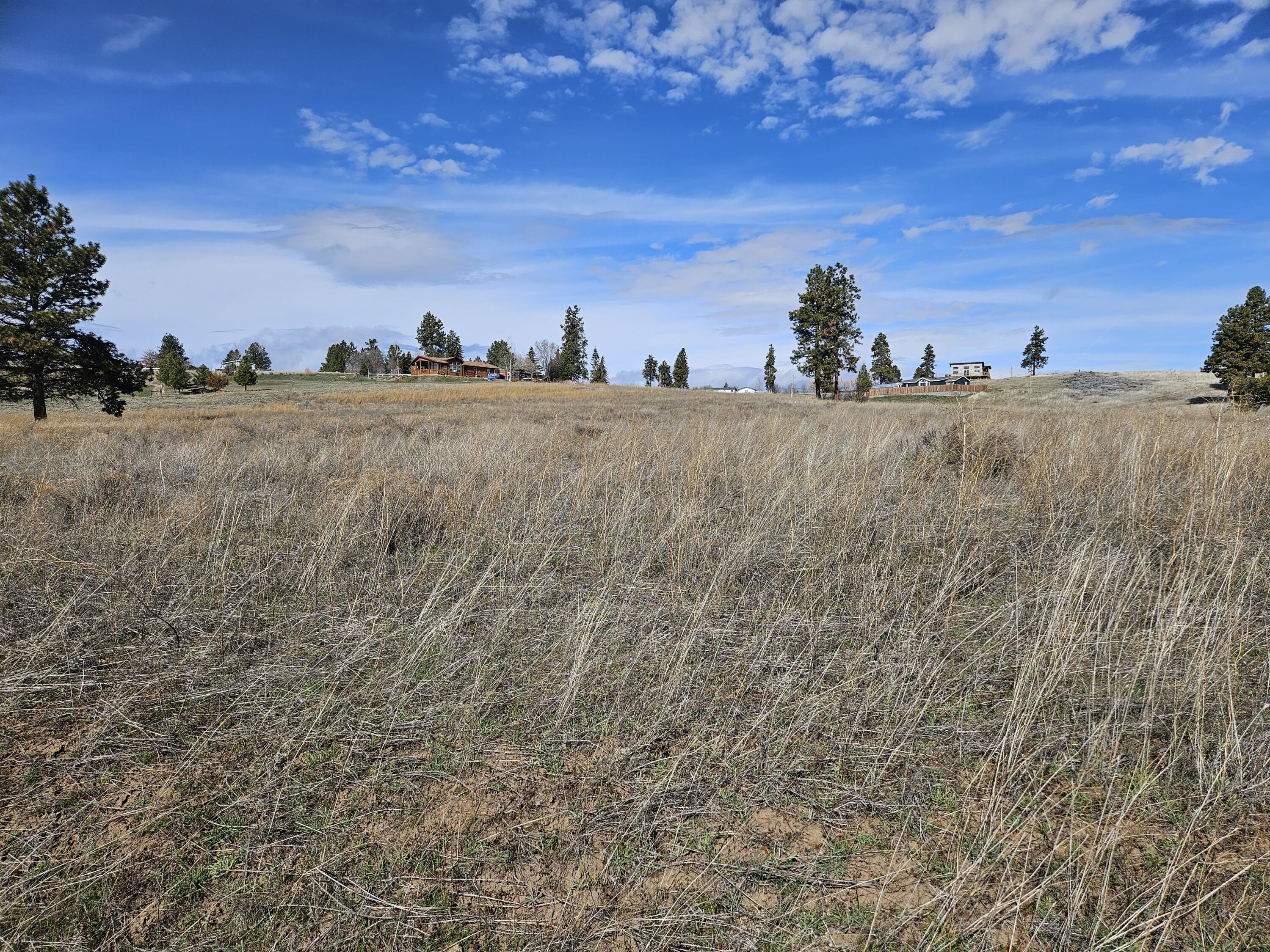 Land Near Crater Lake