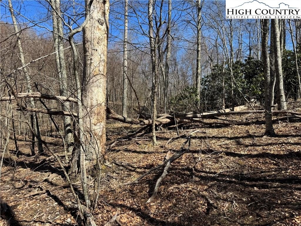 Picture 24