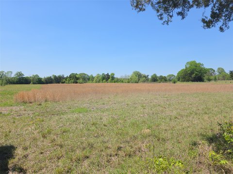 Recreational & Buildable Land Tract