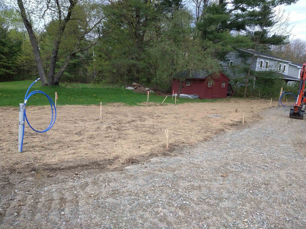 Picture 8