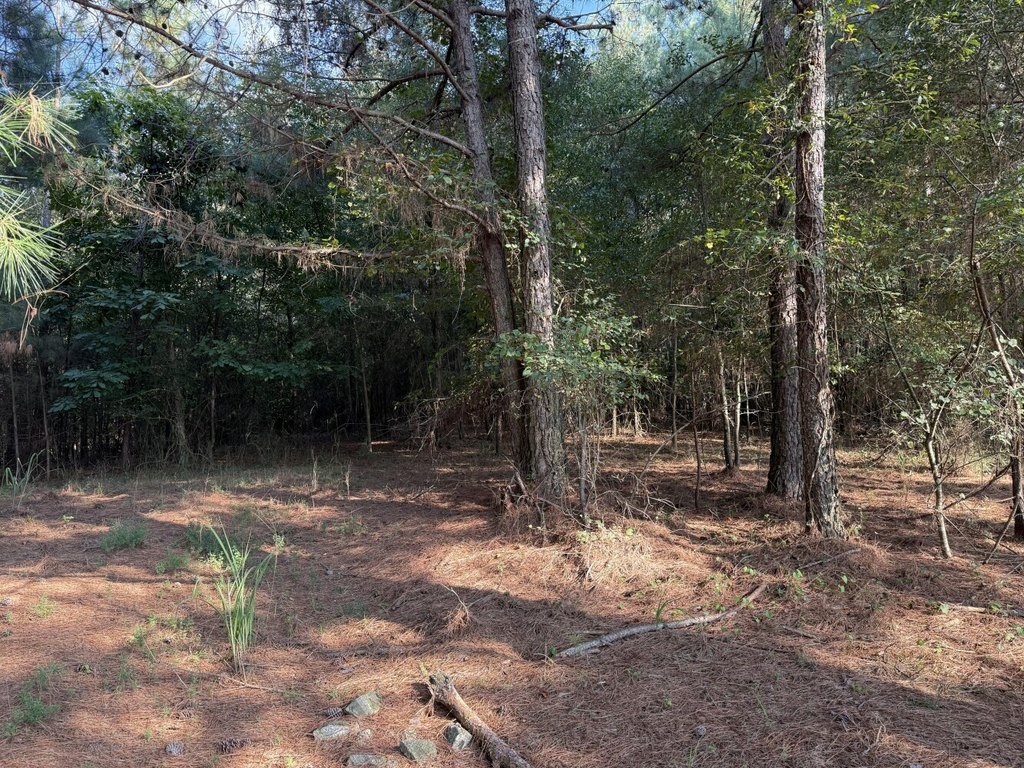 Picture 18
