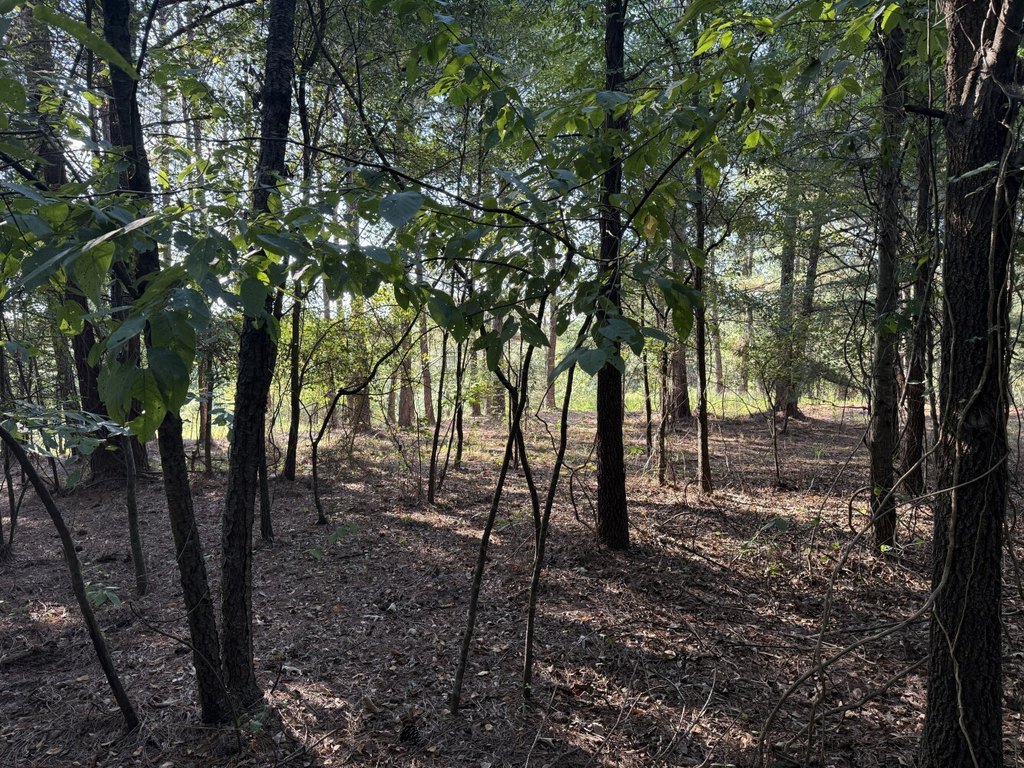 Picture 16