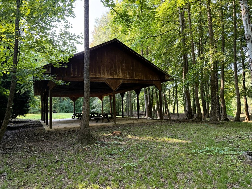 Picture 30