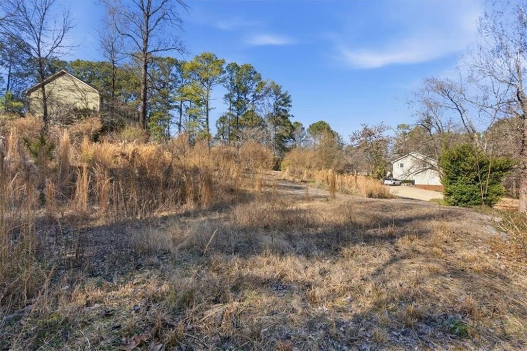 Picture 6