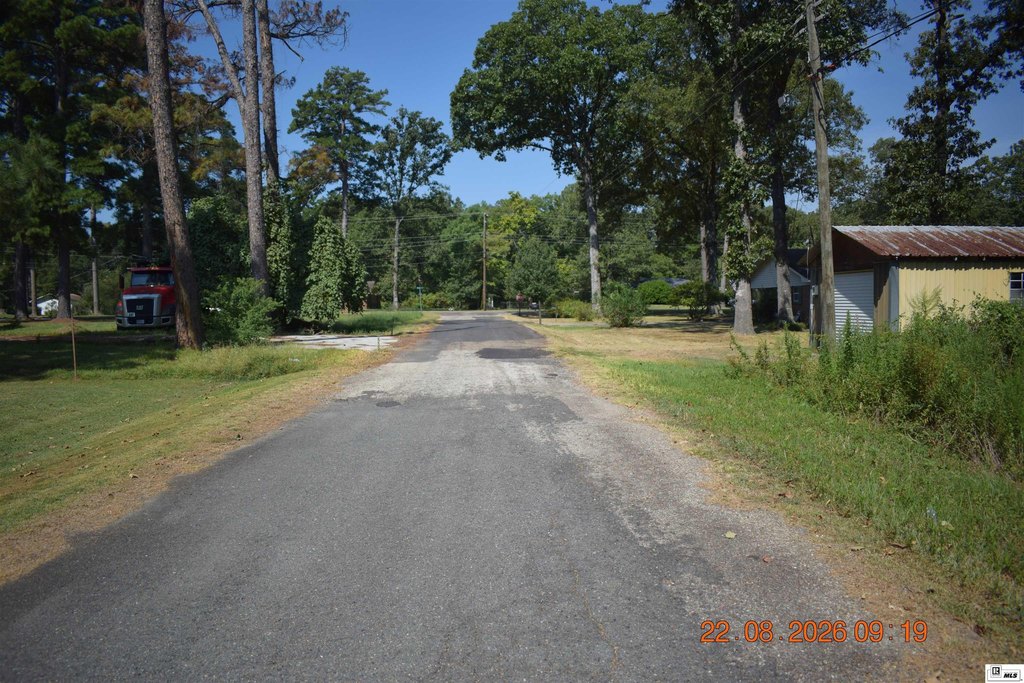 Picture 3