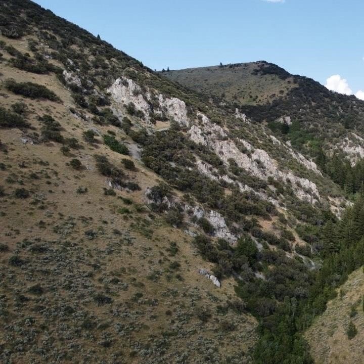 Picture 7
