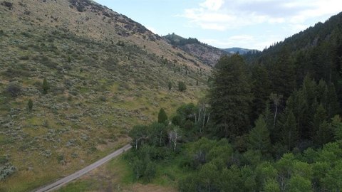 Hunting Land With National Forest Access