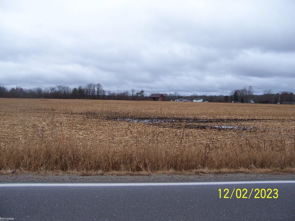 Picture 3
