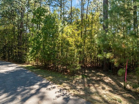Land, Hattiesburg, MS