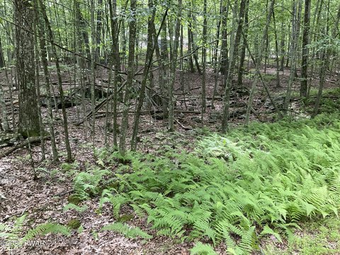 Wooded Lot in Fawn Lake