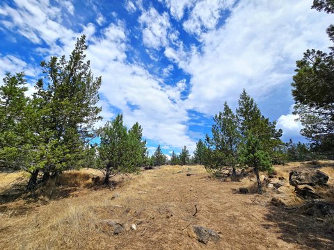 Bonanza, OR Residential Lots