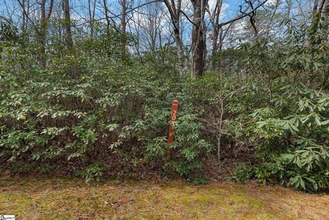 Lots/Land, Cleveland, SC