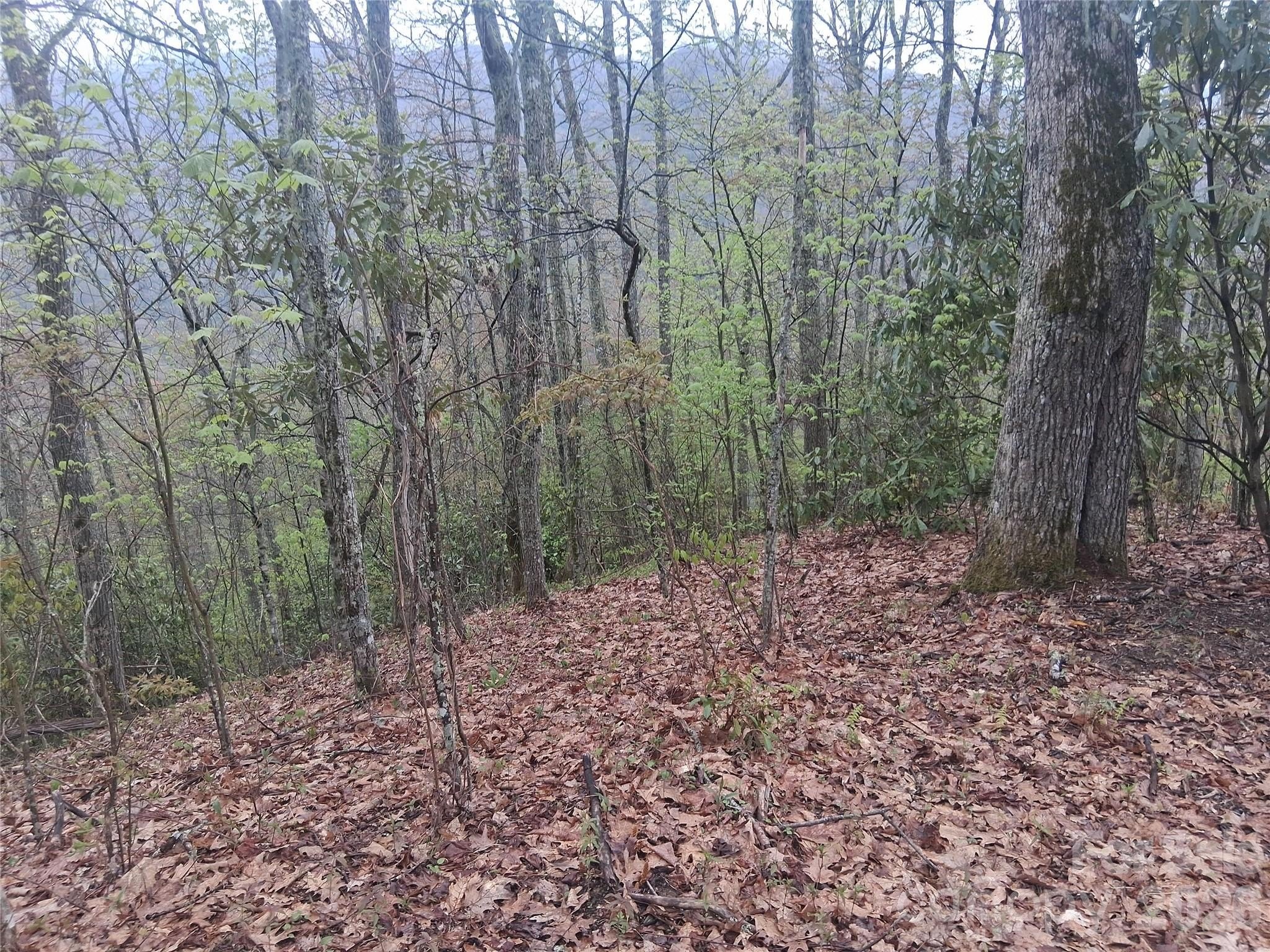 Maggie Valley Land For Sale