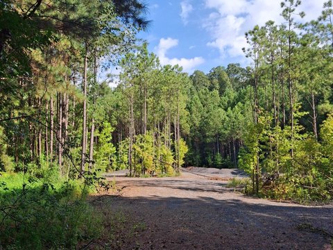 Land, Ellenwood, GA