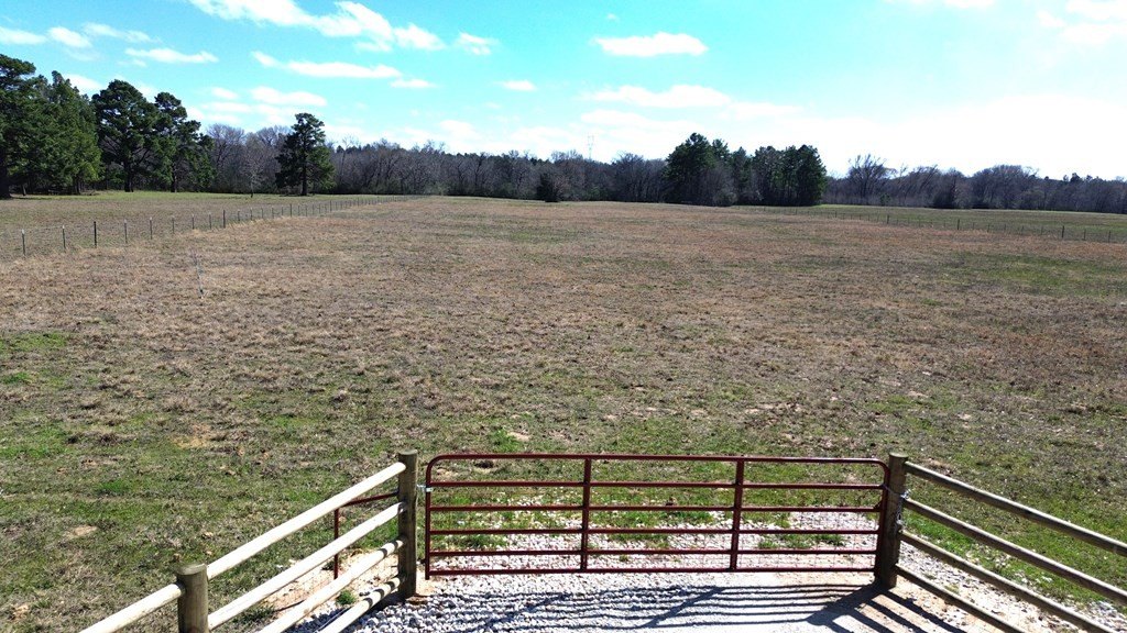 Picture 4