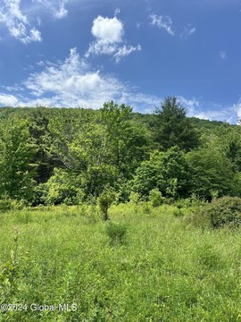 Secluded Land in North Blenheim