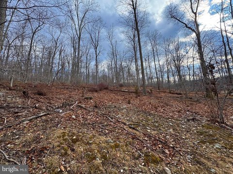 Land, CAPON BRIDGE, WV