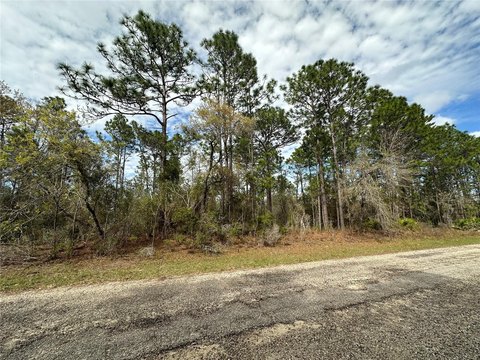 Residential Lot in Deed-Restricted Community