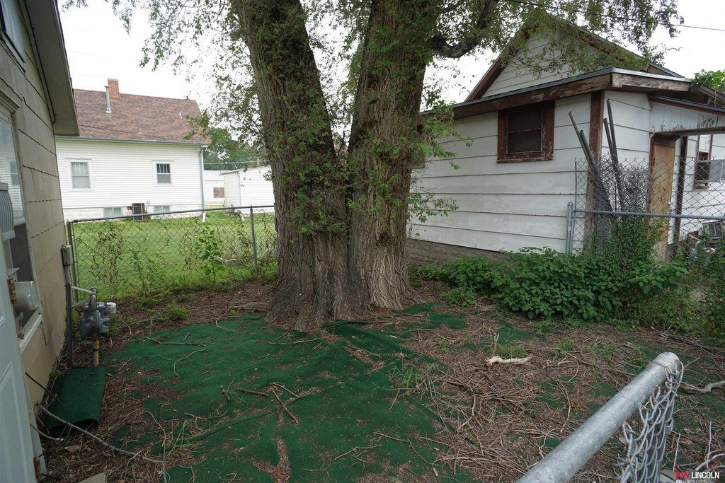 Picture 11
