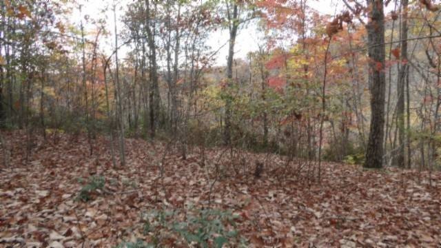 Picture 21
