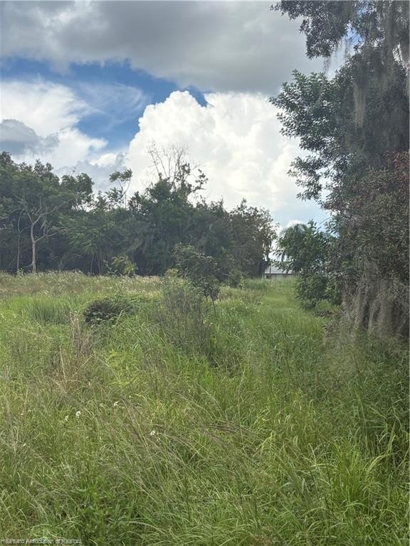 Picture 6