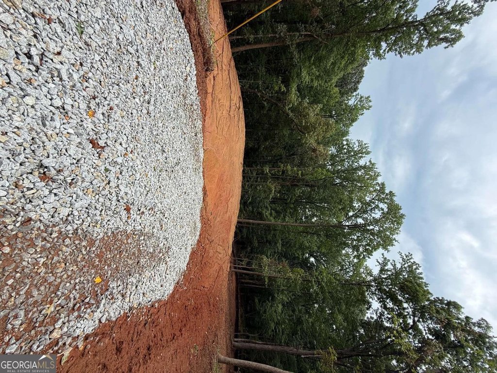 Picture 29