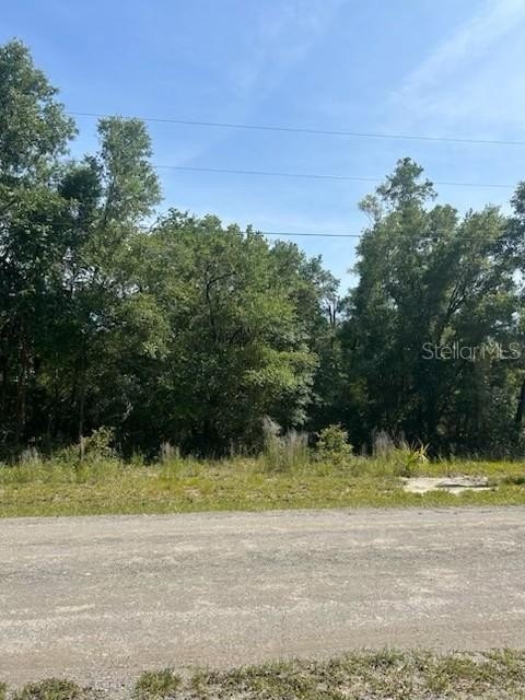 Residential Lot in Crystal River
