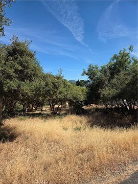 LAND - Kelseyville, CA