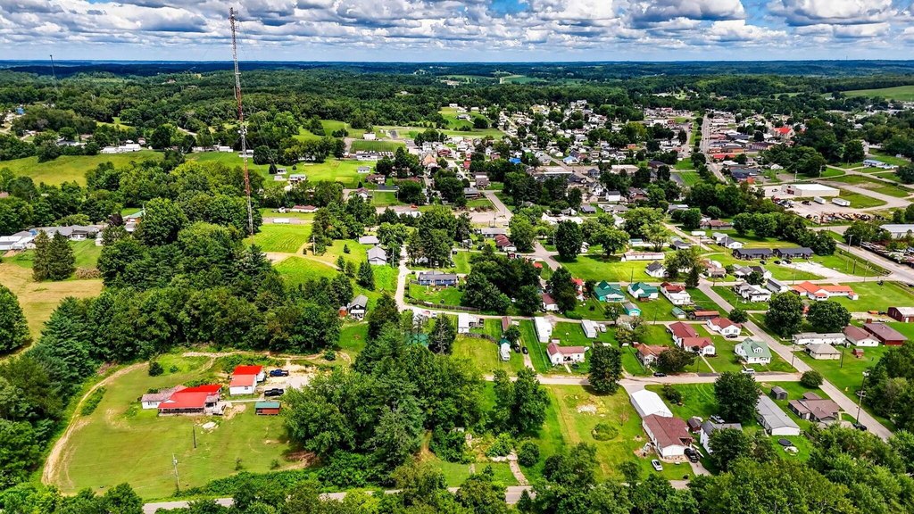 Picture 11