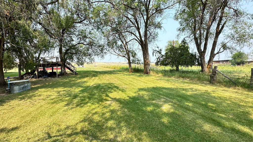 Picture 18