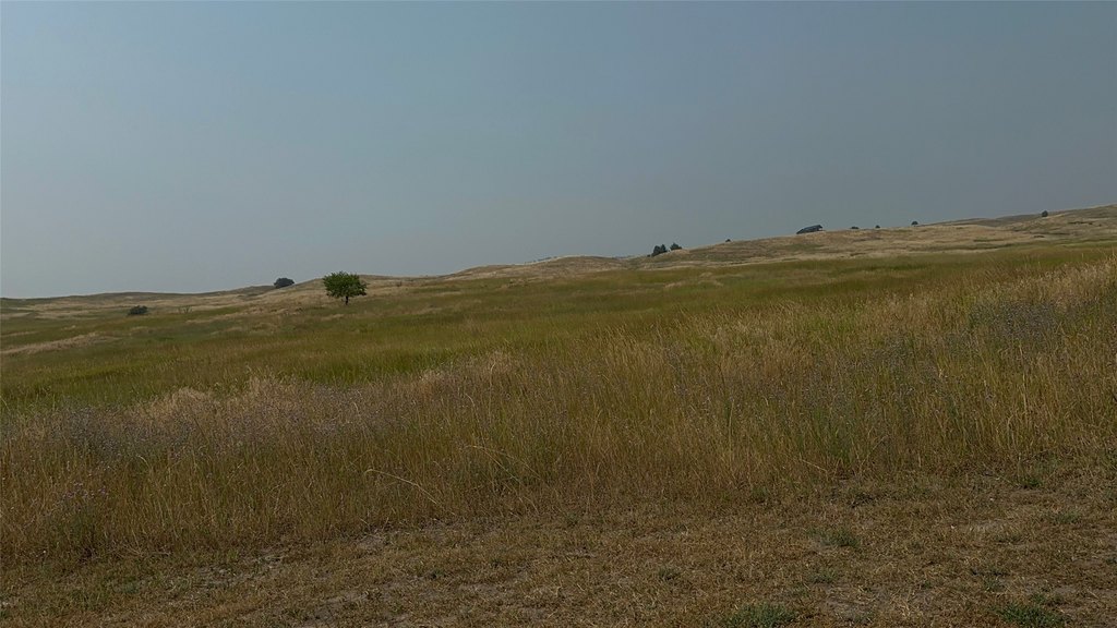 Picture 48