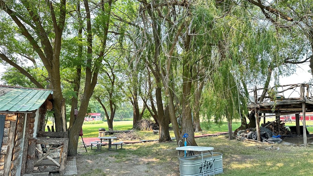 Picture 21