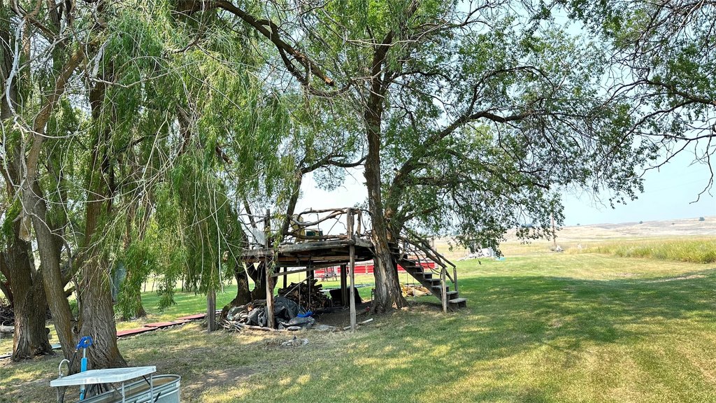 Picture 23