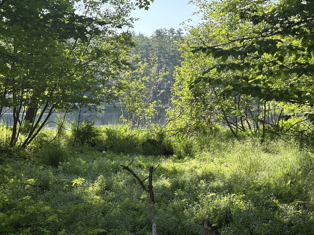 Picture 7