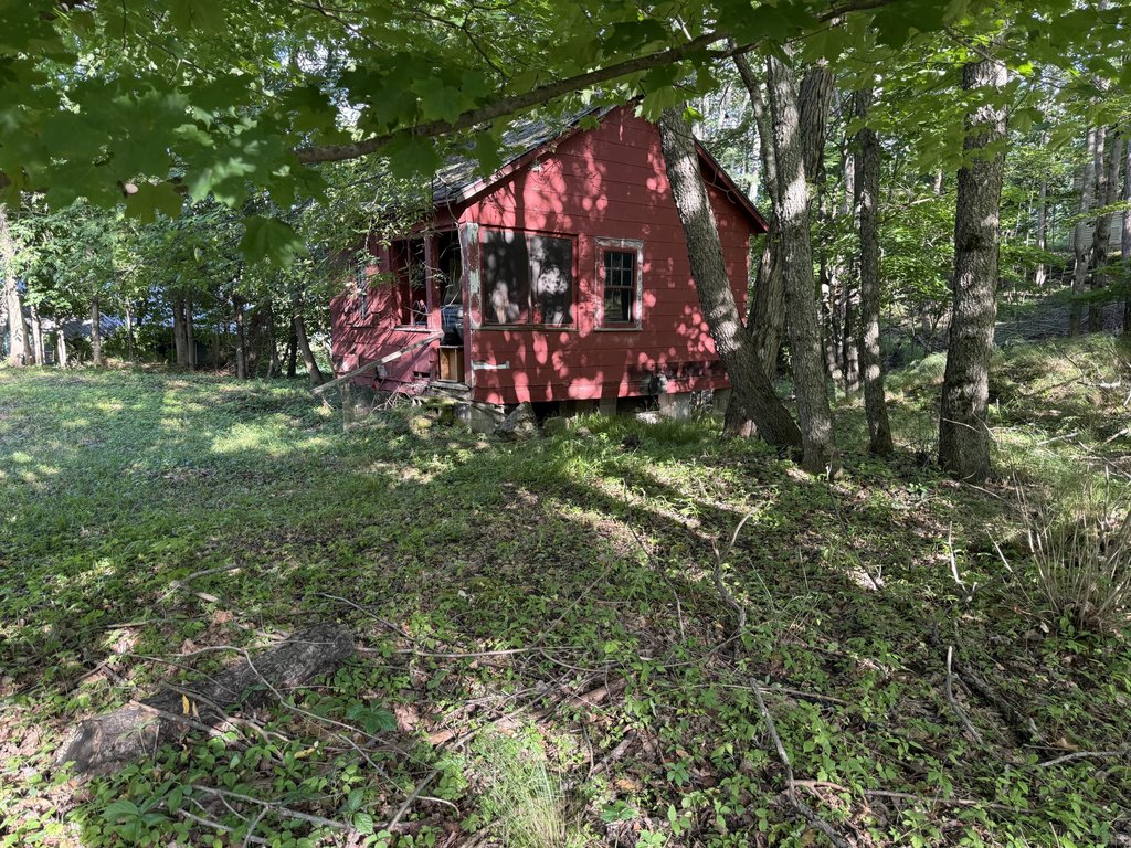 Picture 20