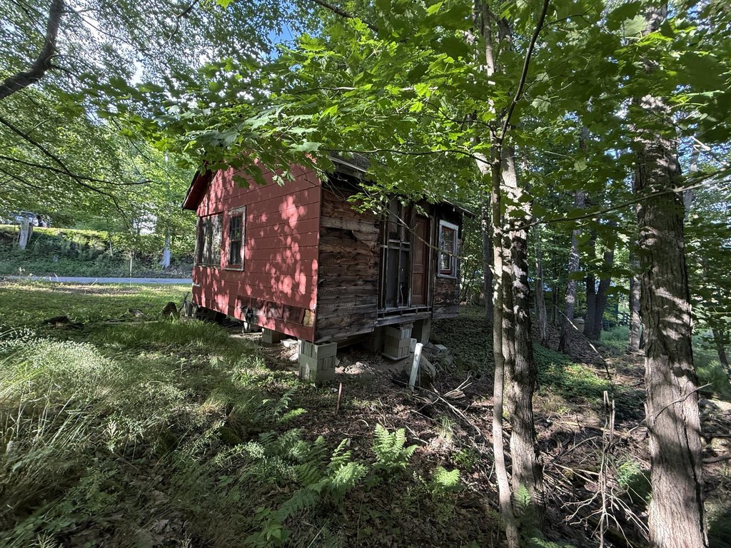 Picture 14