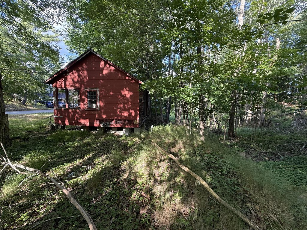 Picture 12