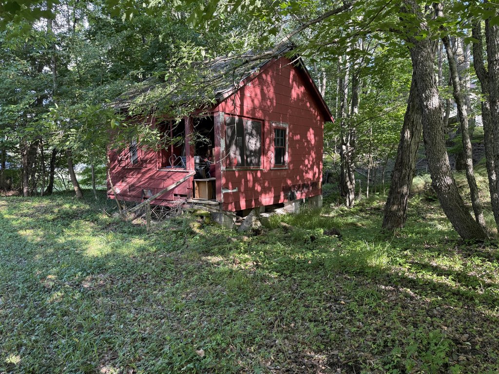 Picture 19