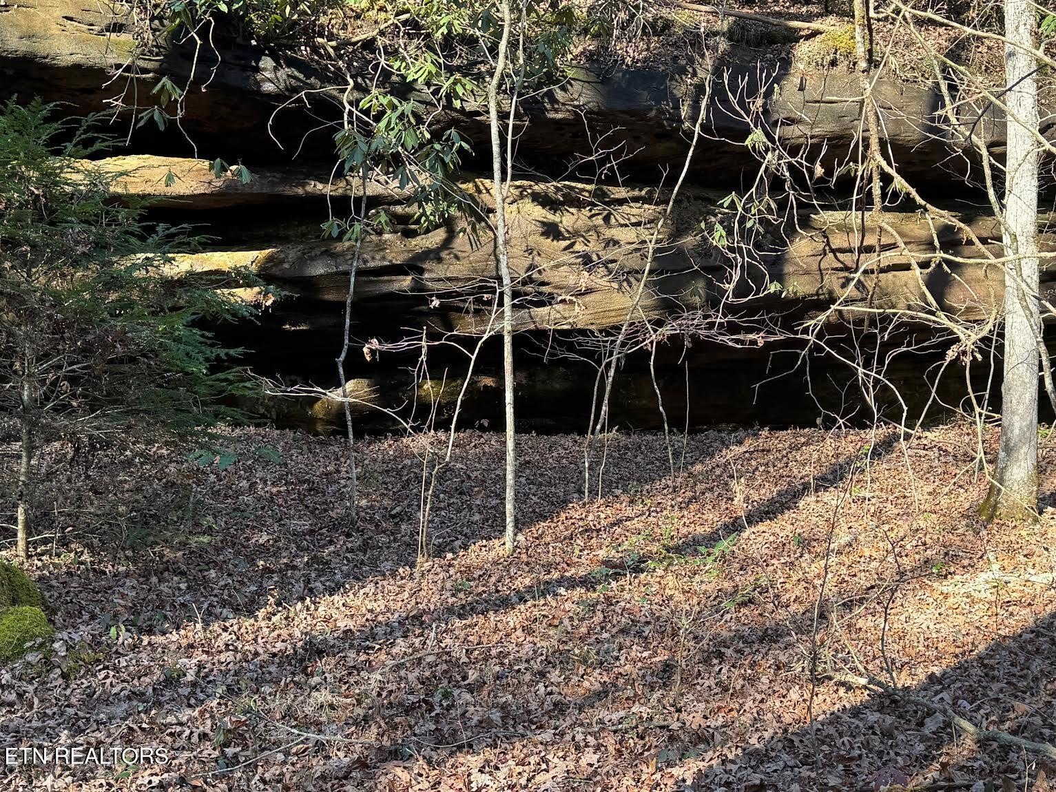 Wooded Land in Jamestown, TN