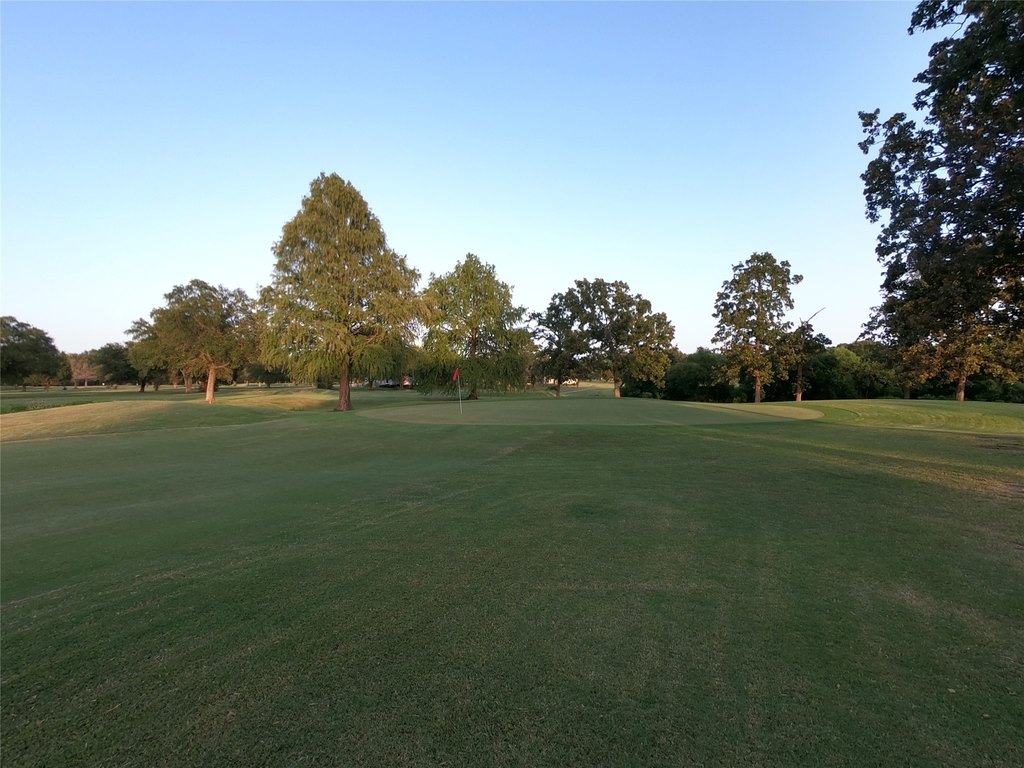 Picture 19