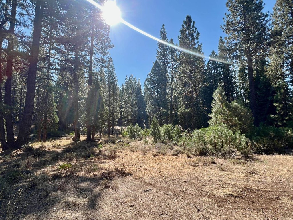 Picture 39