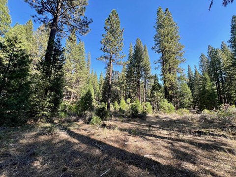 Land, Clio, CA