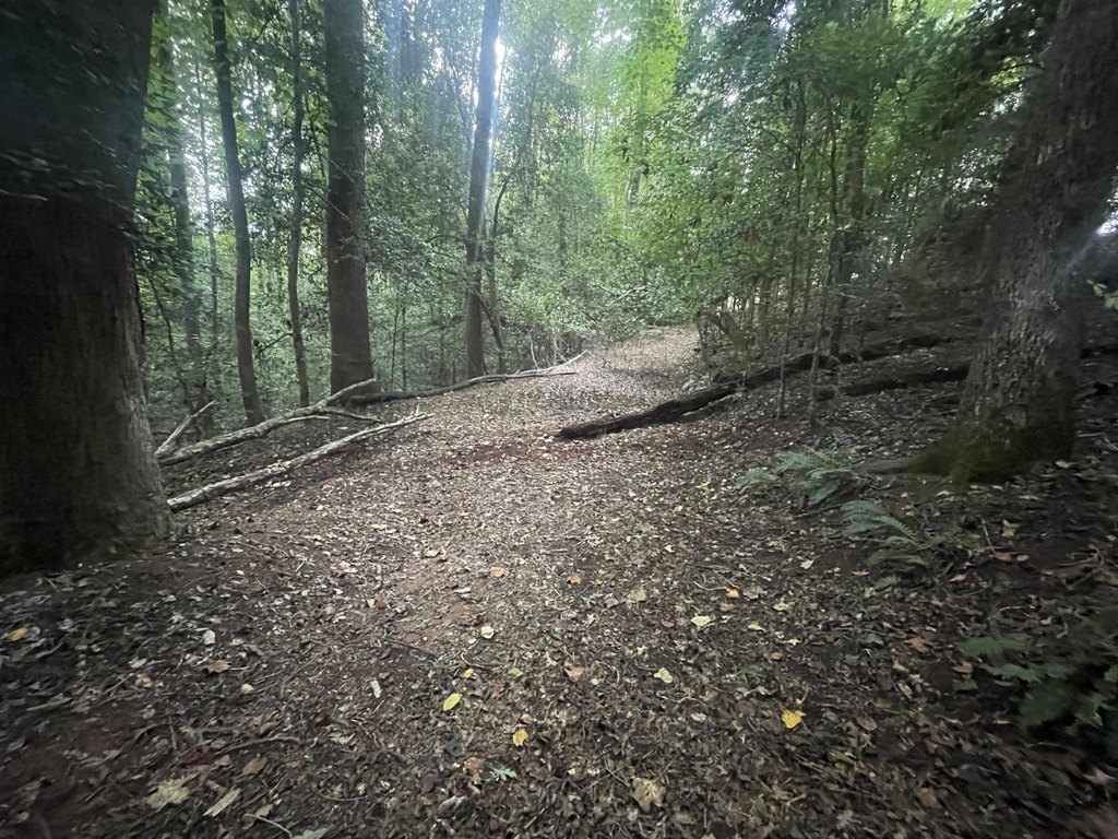 Picture 3